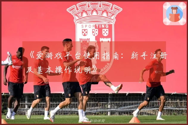 《爱游戏平台使用指南：新手注册及基本操作说明》